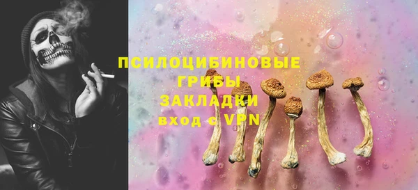 МДПВ Новодвинск