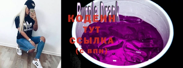 первитин Няндома