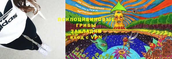 таблы Новозыбков