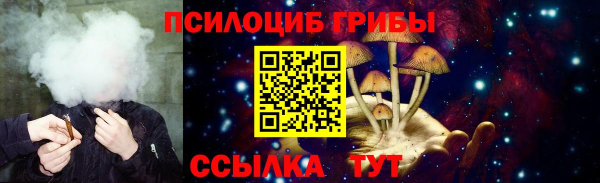 Псилоцибиновые грибы прущие грибы Павлово